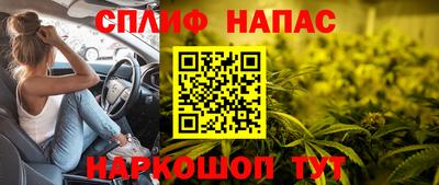 гашик Тулун