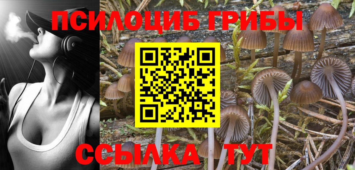 Галлюциногенные грибы Cubensis Белорецк